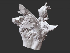 3d scan of tree root in highpoly 3D Model