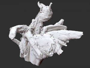 3d scan of tree root in highpoly 3D Model