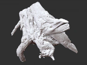 3d scan of tree root in highpoly 3D Model