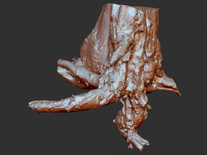 3d scan of tree root in highpoly 3D Model