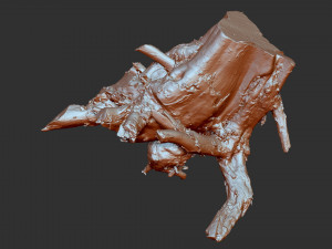 3d scan of tree root in highpoly Model 3D