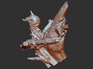 3d scan of tree root in highpoly 3D Model