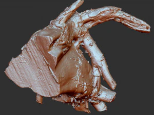 3d scan of tree root in highpoly 3D Model
