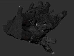 3d scan of tree root in highpoly 3D Model