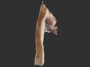 Hanging pork 3d Scan 3Dモデル