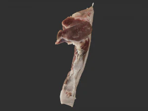 Hanging pork 3d Scan 3D Model