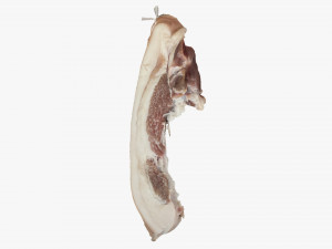 Hanging pork 3d Scan 3Dモデル