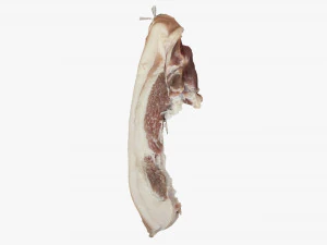 Hanging pork 3d Scan 3D Model
