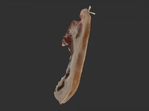 Hanging pork 3d Scan 3D Model
