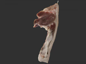 Hanging pork 3d Scan 3D Model