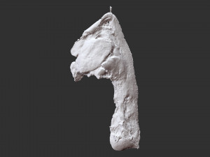Hanging pork 3d Scan 3Dモデル