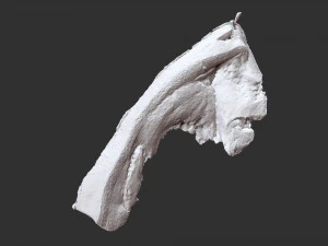Hanging pork 3d Scan 3D Model