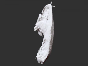 Hanging pork 3d Scan 3D Model