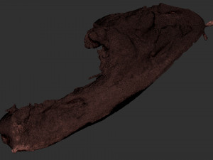 Hanging pork 3d Scan 3Dモデル
