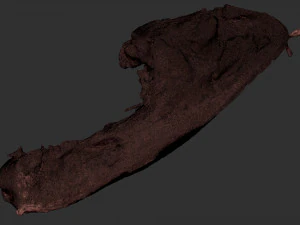 Hanging pork 3d Scan 3D Model