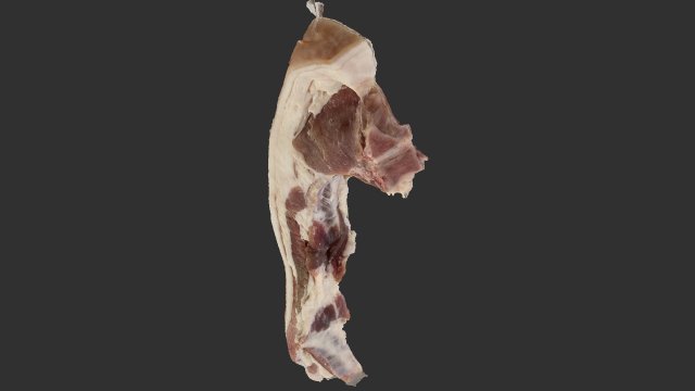 Bacon 3d Scan Model 3D .c4d .max .obj .3ds .fbx .stl .blend 