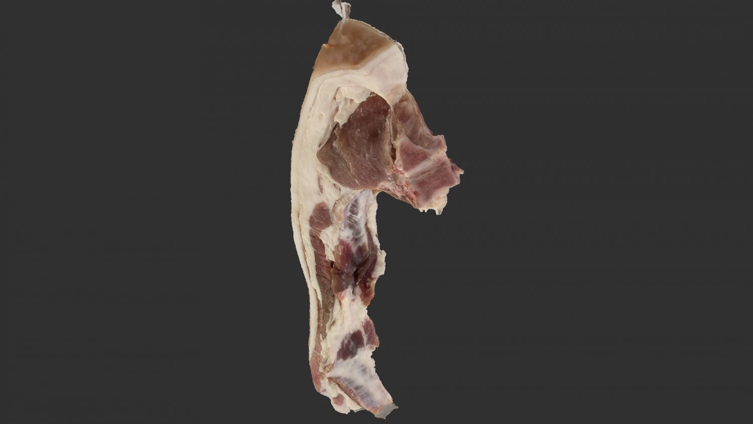 Bacon 3d Scan 3D Model .c4d .max .obj .3ds .fbx .stl .blend 