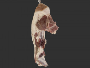 Bacon 3d Scan 3D 모델