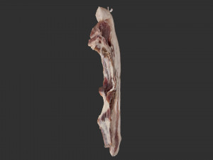 Bacon 3d Scan Model 3D