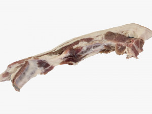 Bacon 3d Scan Model 3D