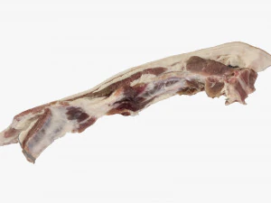Bacon 3d Scan 3D Model