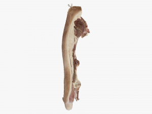 Bacon 3d Scan Model 3D
