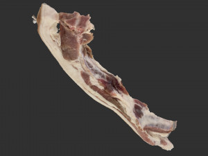 Bacon 3d Scan Model 3D