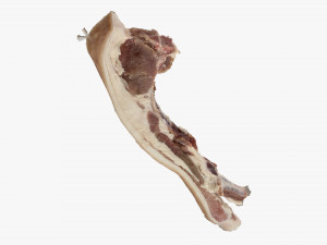 Bacon 3d Scan Model 3D