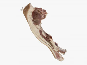Bacon 3d Scan 3D Model
