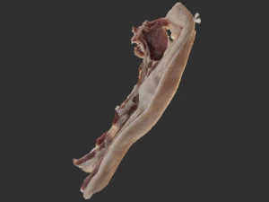 Bacon 3d Scan 3D Model