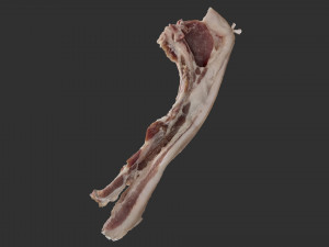 Bacon 3d Scan Model 3D