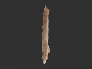 Bacon 3d Scan 3D Model