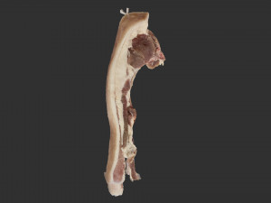 Bacon 3d Scan Model 3D