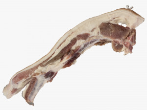 Bacon 3d Scan Model 3D