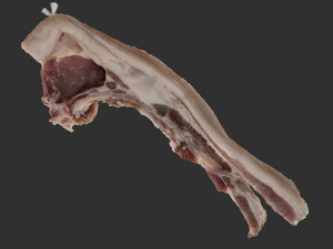 Bacon 3d Scan 3D Model