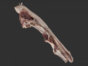 Bacon 3d Scan Model 3D