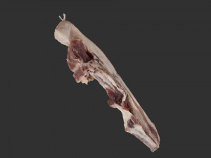 Bacon 3d Scan Model 3D