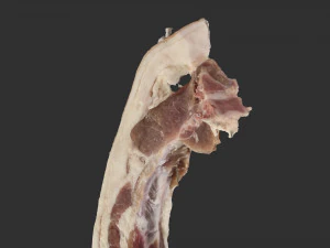 Bacon 3d Scan 3D Model