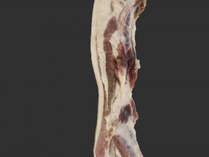 Bacon 3d Scan Model 3D