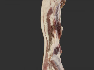 Bacon 3d Scan 3D Model