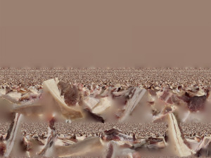 Bacon 3d Scan Model 3D
