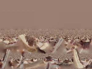 Bacon 3d Scan 3D Model