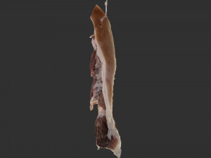 Hanging pork 3d Scan Model 3D