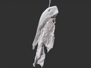 Hanging pork 3d Scan Model 3D