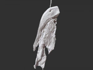 Hanging pork 3d Scan 3D Model