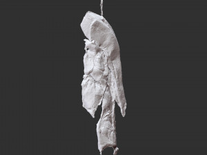 Hanging pork 3d Scan Model 3D