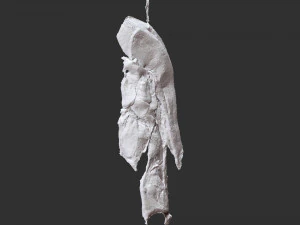 Hanging pork 3d Scan 3D Model
