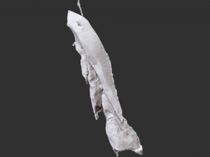 Hanging pork 3d Scan Model 3D