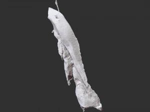 Hanging pork 3d Scan 3D Model