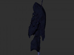 Hanging pork 3d Scan Model 3D